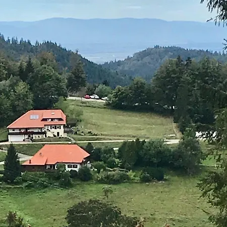 شقة Ferienhaus Titisee كاندرن