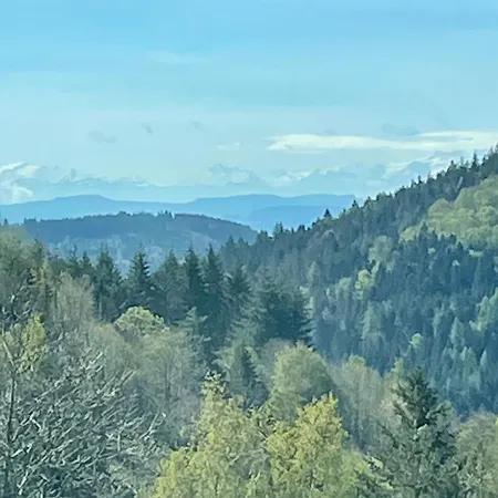 Ferienhaus Titisee *