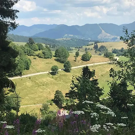 Ferienhaus Titisee شقة *